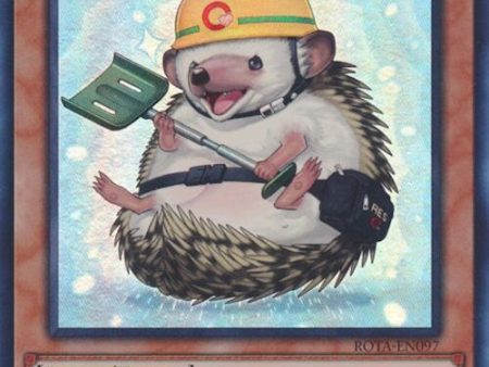 Rescue Hedgehog [ROTA-EN097] Super Rare Cheap